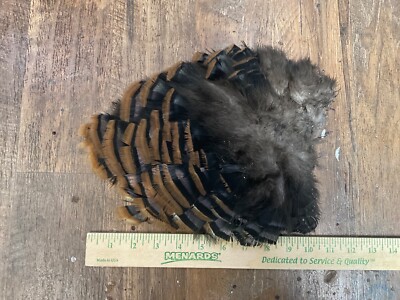 Wild Turkey Body Feathers, art craft fishing fly tying