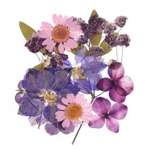 Dried Pressed Flowers Real Dry Leaves Pressed Flowers for DIY Craft Purple