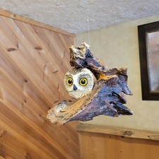 Casey Edwards Wood Carving Saw-whet Owl 