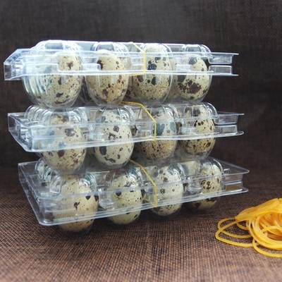 100 PCS Plastic Quail Egg Carton Holder 12 Tray Storage Bulk Container