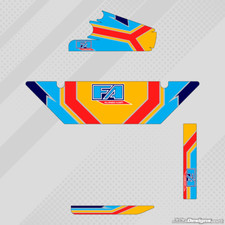 FA ALONSO 2011 STYLE DD2 RADIATOR STICKER KIT - ROTAX - KARTING