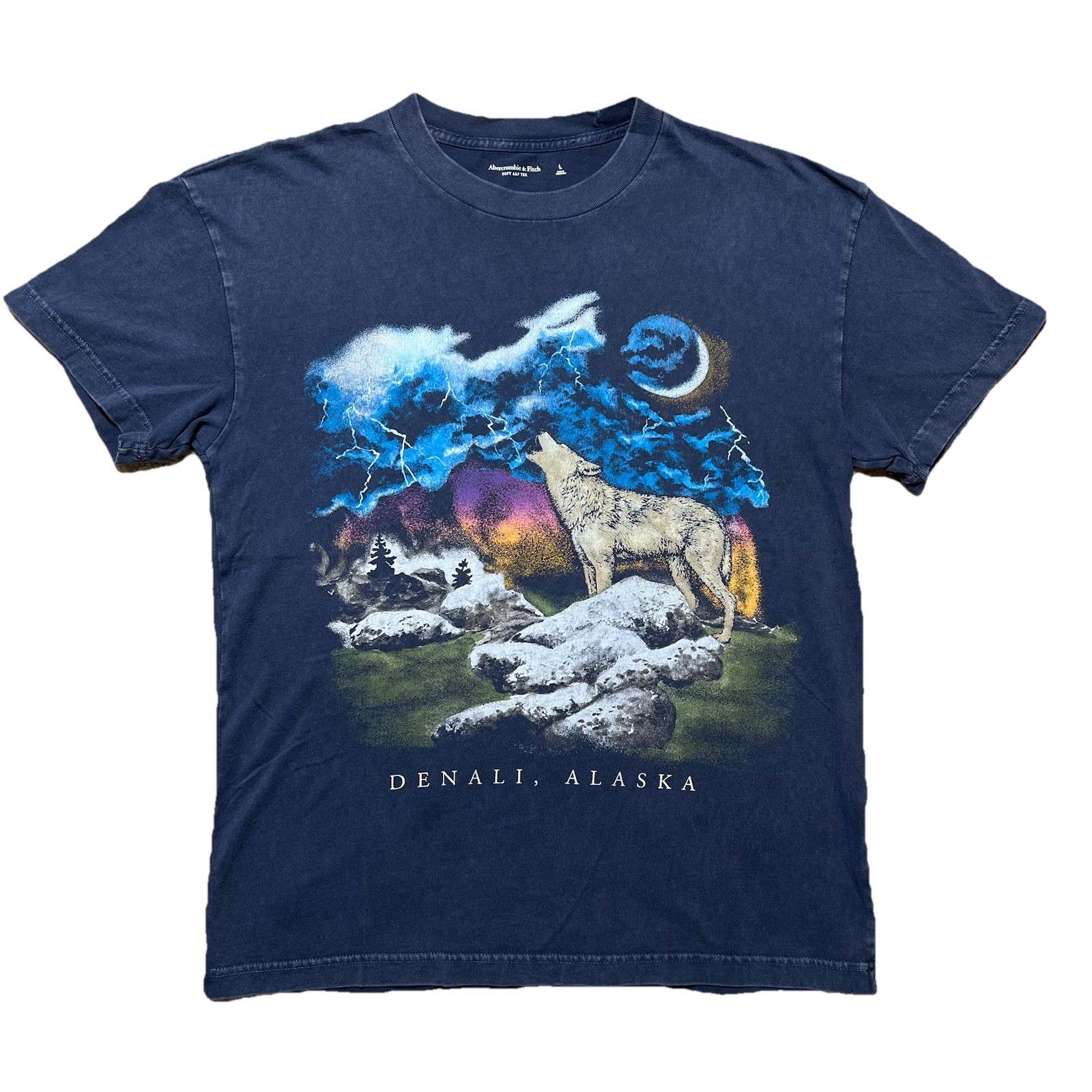 Abercrombie Fitch Denali Alaska Wolf Graphic T Shirt Large