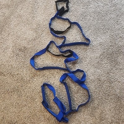 Metolius Alpine Aider 1in Blue 4 Step, 60in