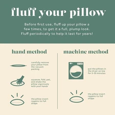 Set of Two 22X22 Decorative Throw Pillow Insert, down and Feathers Fill, 100%...