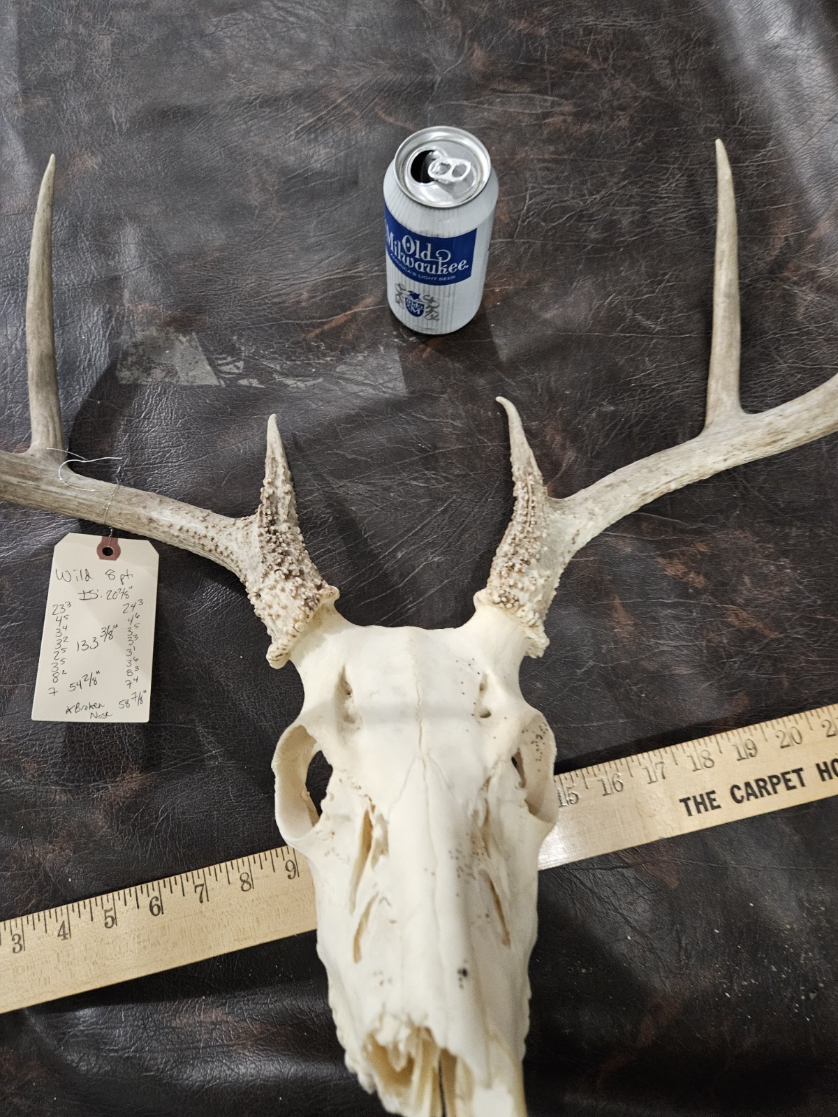 Wild 8 Point Whitetail Deer Antler Rack Horn Skull European Mount Man Cave 133"