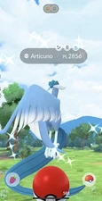 ✨ Rare Shiny Galar Articuno LVL 50 + 3 Moves ✨ Pokémon Go Trade | PoGo