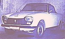 Calandre Peugeot 204