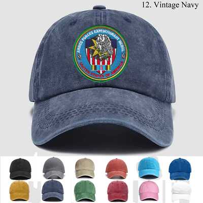 Custom Embroidered Hat Armed Forces Expeditionary Medal, Veteran Cap, Gift Idea