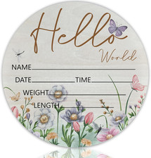 Hello World Butterfly Theme Baby Name Sign Birth Announcement Plaque with Name D