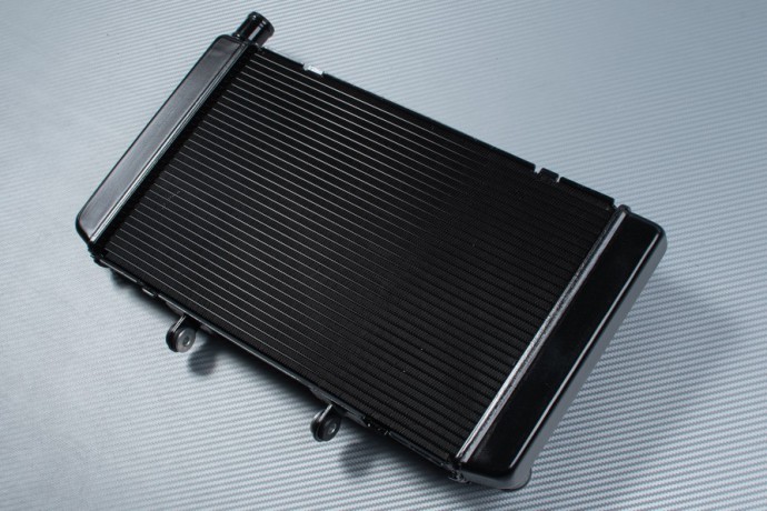 Radiateur eau Honda Hornet 600 : résoud la surchauffe moteur sur CB600F PC41