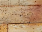  Antique  Art  Scrimshaw Nautical Scenes CIVIL WAR BONE SCRIMSHAW BOX  — photo 7