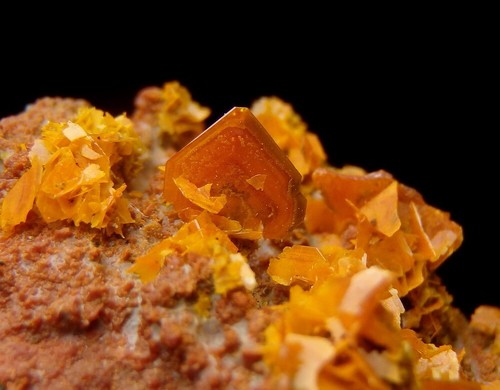 WULFENITE intensive orange crystals !!! -- CHINA - Kuruktag Mountains /pi710 - Picture 8 of 13