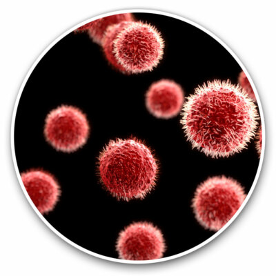 3D pathogènes Virus biologie Cool Cadeau #13192 2 x Vinyle Autocollants 7.5 cm