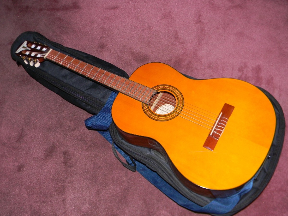 Epiphone PRO-1 WR/美品 Epiphone PRO-1 WR Hummingbird 美品 - メルカリ