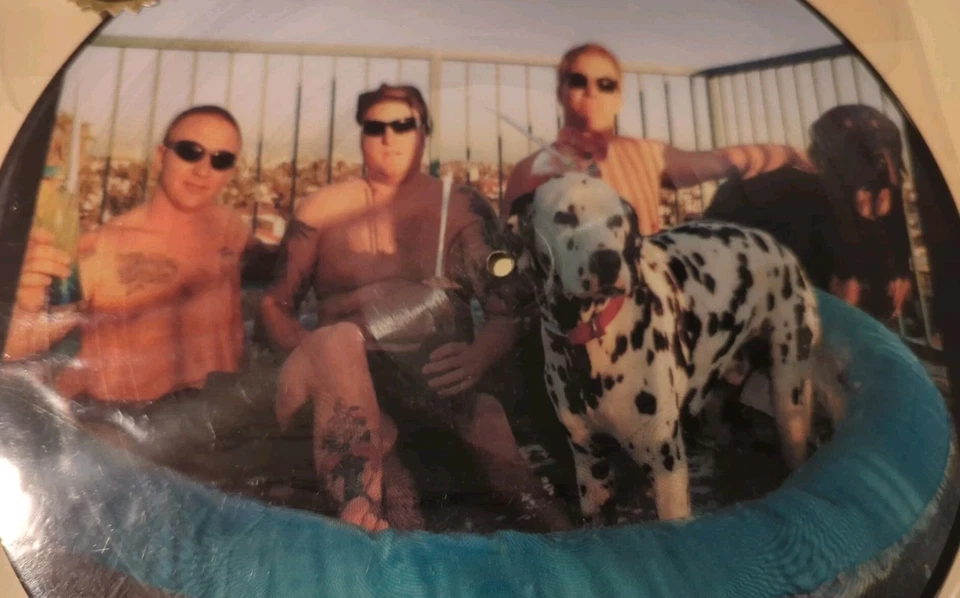 Sublime: Self-Titled Vinyl Record Album LP Picture Disc 2004 **SEALED** free shp - Image 3 of 4