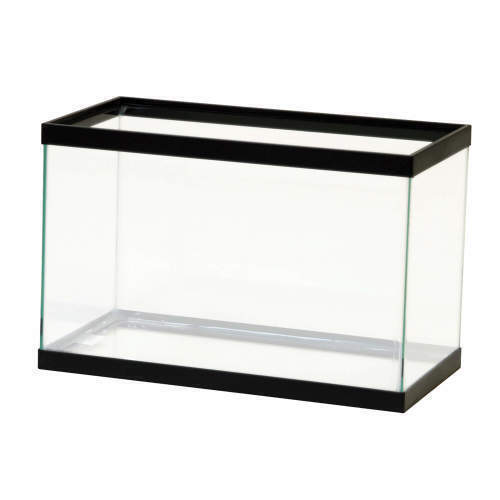 Aqueon Standard Glass Rectangle Aquarium Clear Silicone, Black, 1ea/5.5 Gallon B - Foto 1 di 1