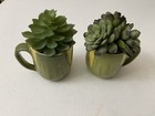 Shawnee Corn King Coffee Mugs Set of 2 with Artificial Succulents, Green Yellow — photo 1
