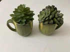 Shawnee Corn King Coffee Mugs Set of 2 with Artificial Succulents, Green Yellow