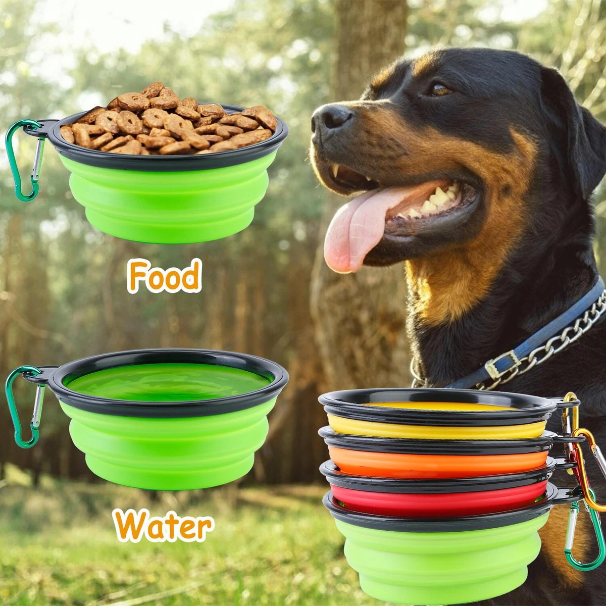 Cat and hot sale dog feeding station