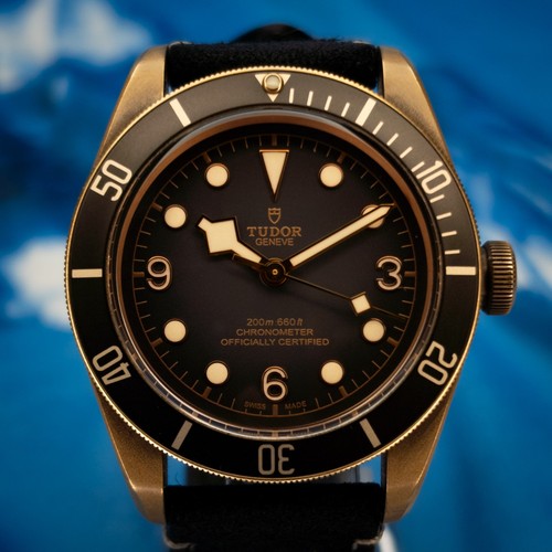 2023 Tudor Black Bay Bronze 79250BA-001 43MM Diver Slate Grey ...