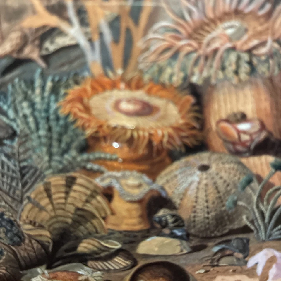 New, Sealed Montrose Biology Hidden Habitat 100o Pc Jigsaw Puzzle! - Image 3 of 4