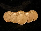 Lot of 6x 1909 VDB Lincoln Wheat Cents - Better Grade