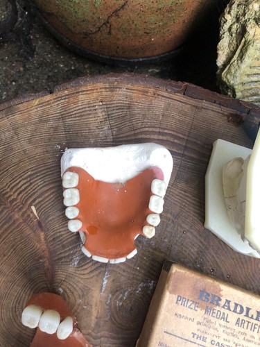 Vintage Dental lot inc dentures false teeth moulds tooth chart old box plaque - Picture 5 of 17