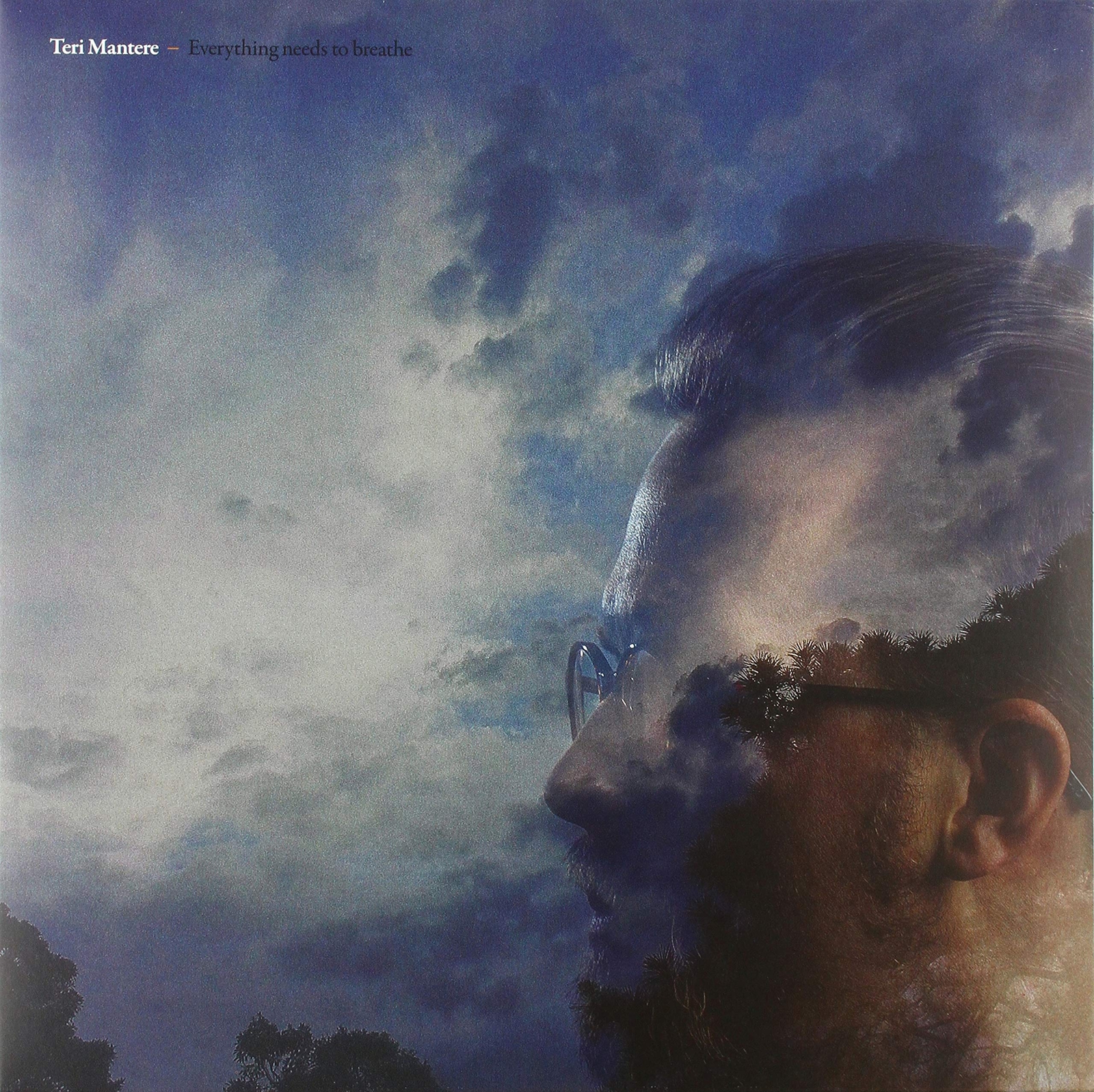 Teri Mantere Everything Needs to Breathe (Vinyl LP)