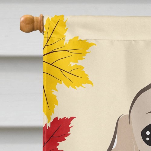Caroline's Treasures BB2022CHF Cocker Spaniel Thanksgiving House Flag Large P... - Picture 3 of 8
