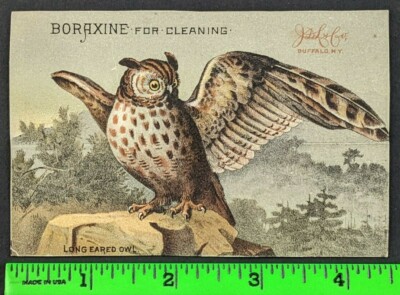 Vintage 1880's Boraxine Elite Toilet Soap Owl Spreading Wings Rock NY Trade Card