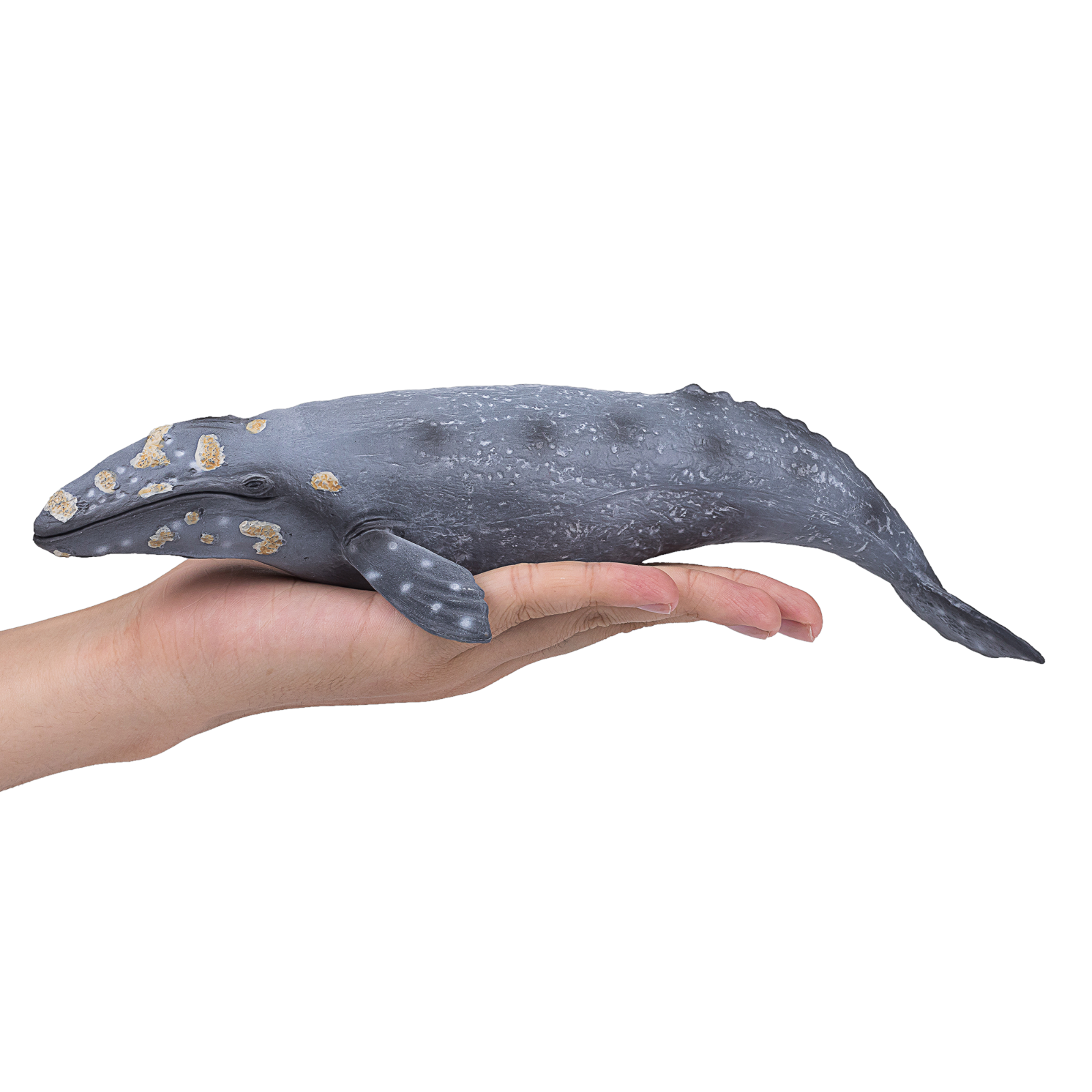 Mojo GREY WHALE plastic animal sea toy figure model figurine fish bath