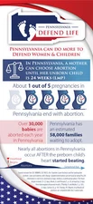 Pennsylvania Stats Card Brochure (Pack of 50)