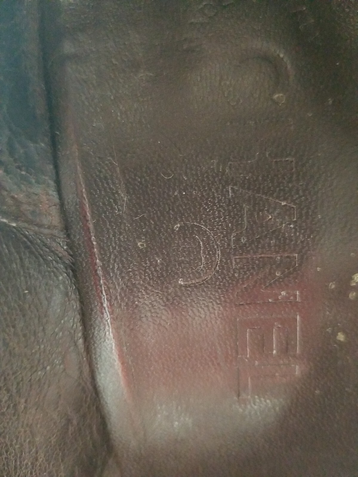 Picture 8 of 11