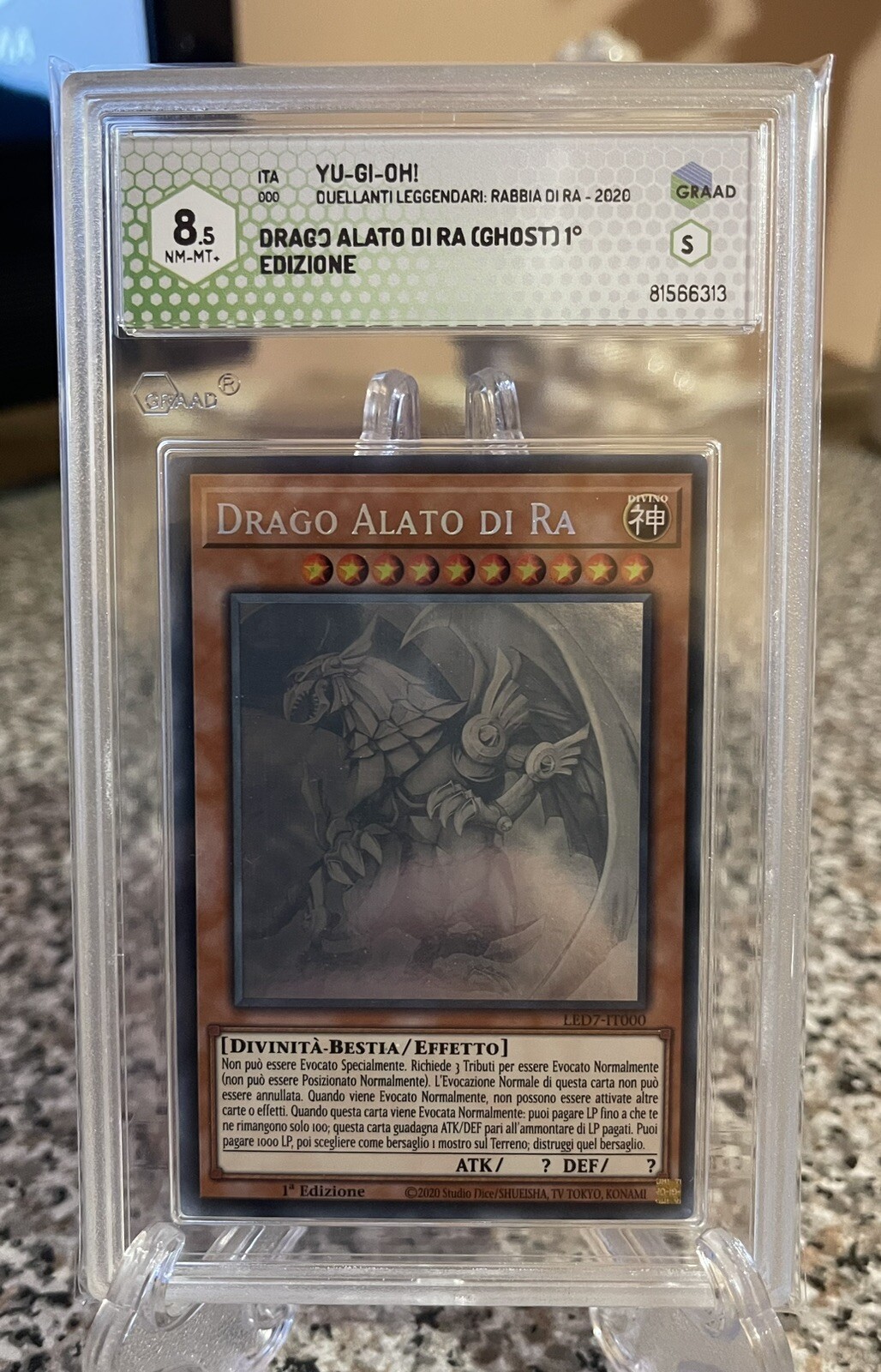 Foto 1 di 1