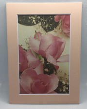 New Handmade 5x7 Matted Pink Roses Bouquet Water Droplets Free Ship 139
