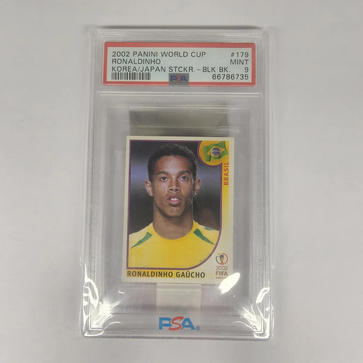 Panini FIFA World Cup Soccer 2002 Season Sports Trading Cards
