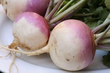 Turnip Seeds Purple Top White Globe Heirloom, 