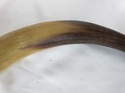 Antique Native Carved Powder Horn 11" — photo 7