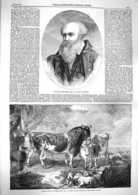 Original alter antiker Druck 1859 Portrait James Ward Rinder Ziegen Bauernhoftiere