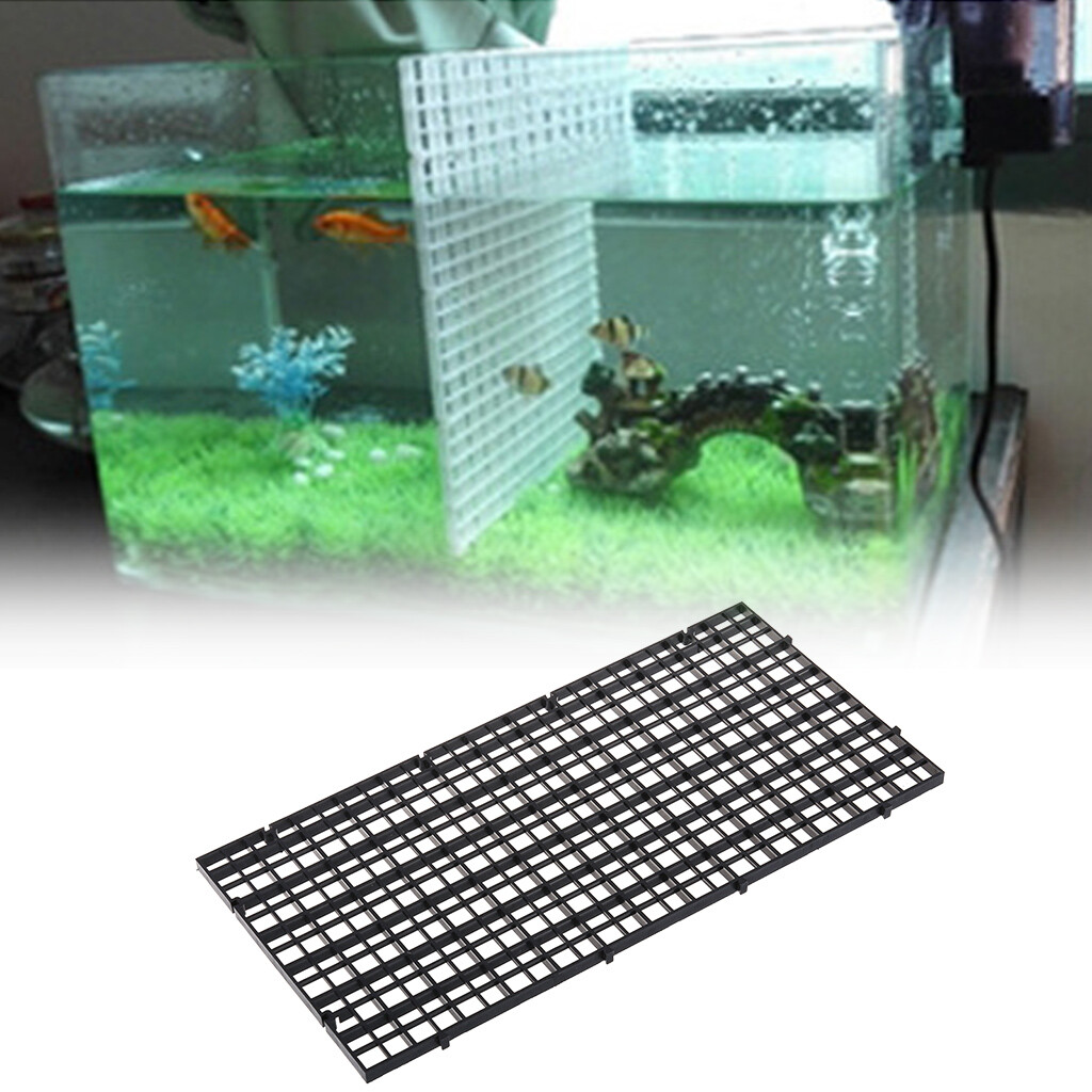 filter tank aquarium