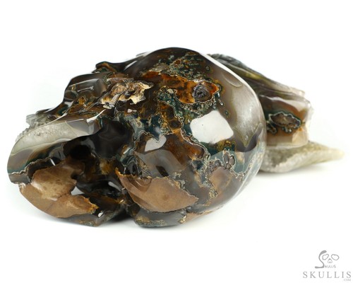 8.0" Premium Brazilian Agate Geode Hand Carved Crystal Skull and Bird Sculpture - Picture 12 of 14