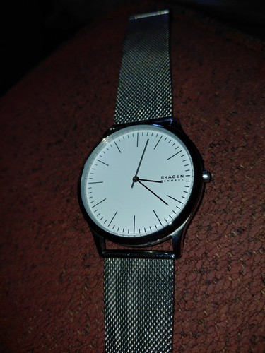 Skagen SKW6565 Stainless Steel Strap Men's Wristwatch