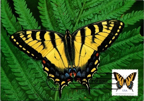 Dr Jim Stamps Maximum Card Eastern Tiger Swallowtail Butterfly Fdc Bifold