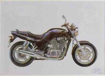 A3 Foto Limited Edition Suzuki VX800 1990