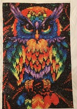 New Beautiful Diamond Art Painting Owl