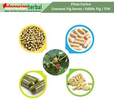 Capsule Of Pure Ficus Carica Common Fig Leaves Edible Fig Organic Natural Herbal