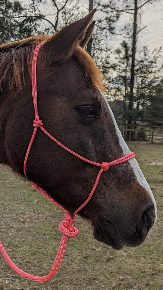 Soporte de cuerda de entrenamiento de equitación natural Parelli, Clinton Anderson, hecho a medida Foto 2 de 4