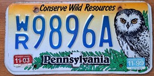 1999 PA License Plate Conserve Wild Resources Owl Tag Expired Collectible