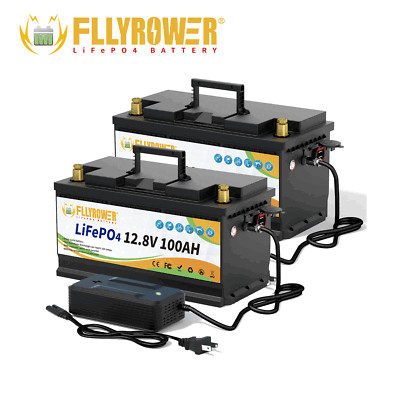 12V 100Ah LiFePO4 Akku Lithium batterie 100A BMS Boot Wohnmobil Solar 2PCS 