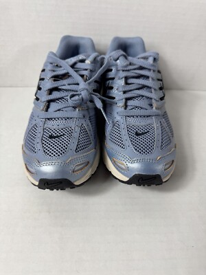 Nike Women's Air Pegasus 2005 C.O.R. Ashen Slate Women Shoes HQ5725-400 Size 6.5